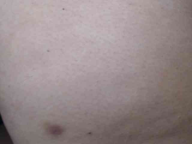 soe-lara webcam