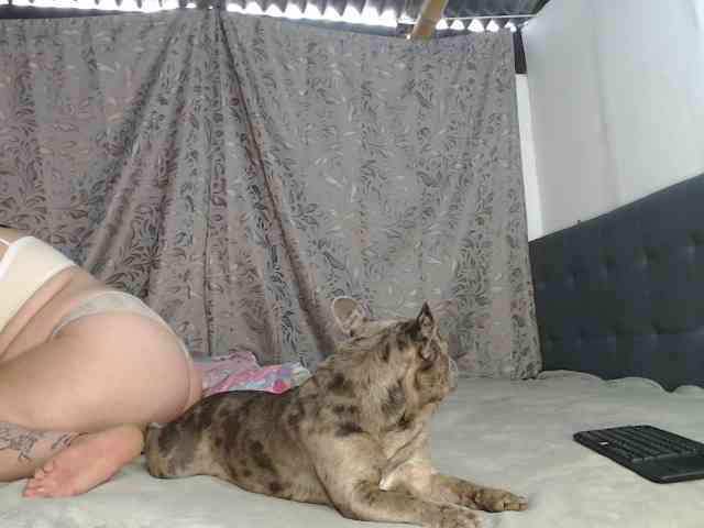 soe-lara webcam