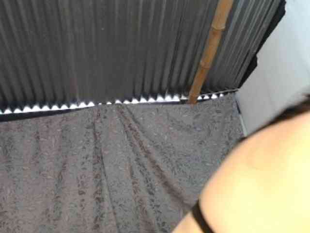 soe-lara webcam