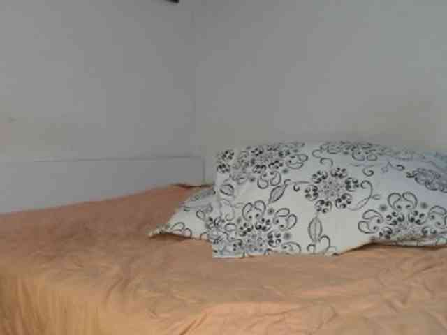 soe-lara webcam