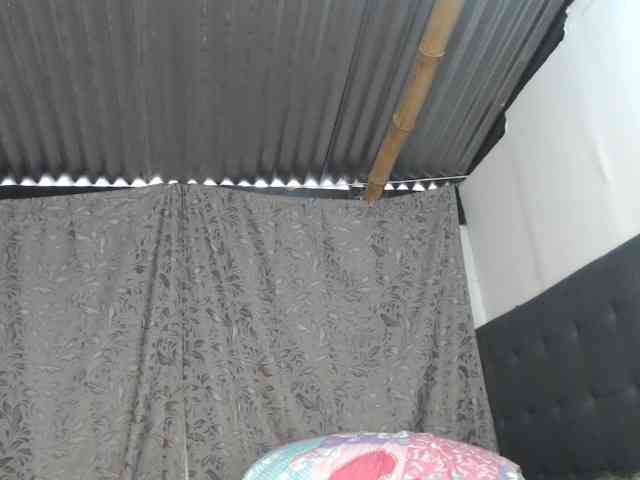 soe-lara webcam