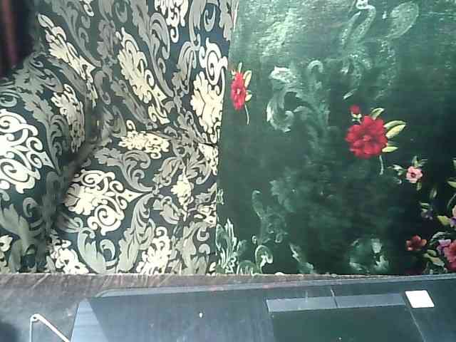Indianbhabhimilf40 webcam