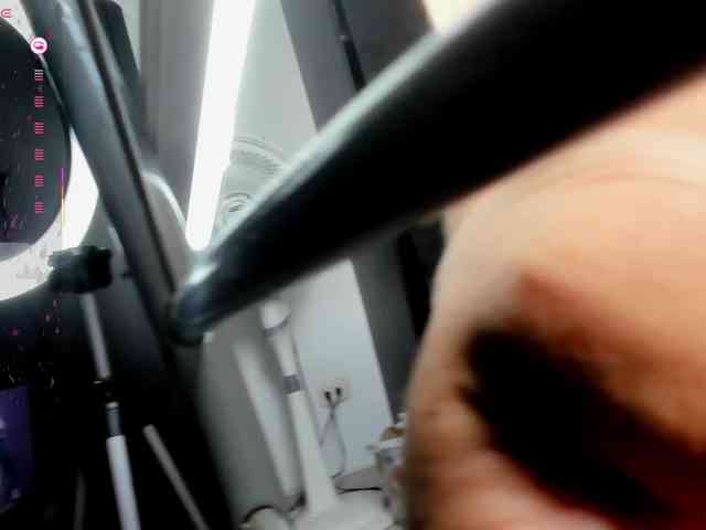 AssParadisse webcam