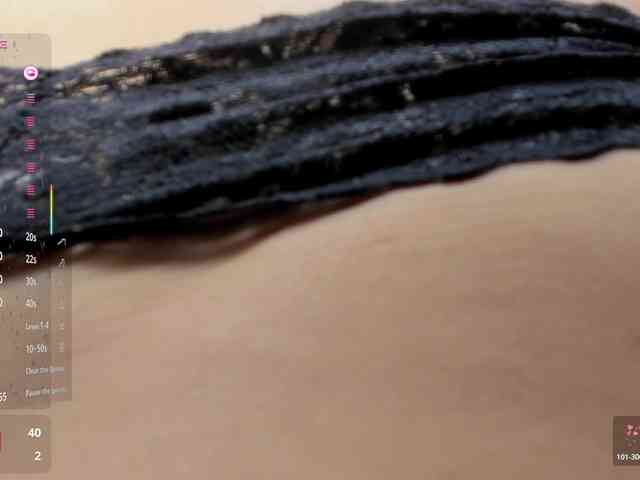 AssParadisse webcam