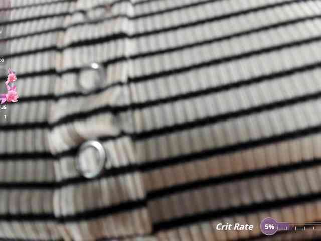 kittyscoot webcam