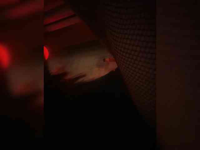 lkjhgfdsa6 webcam