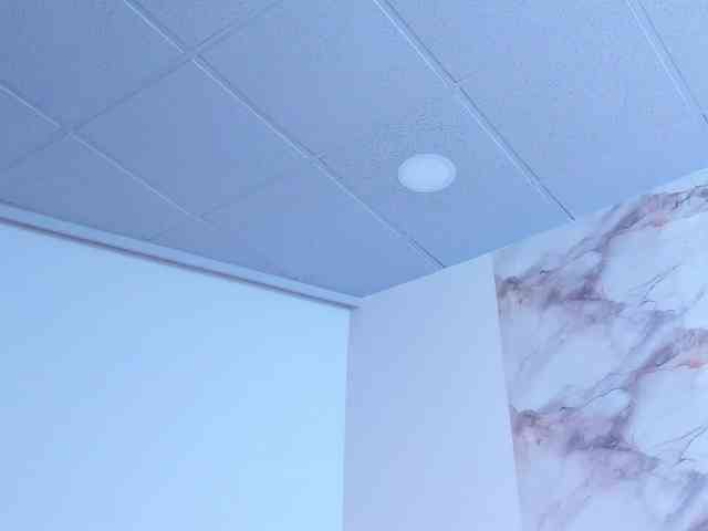 maddyluxe webcam