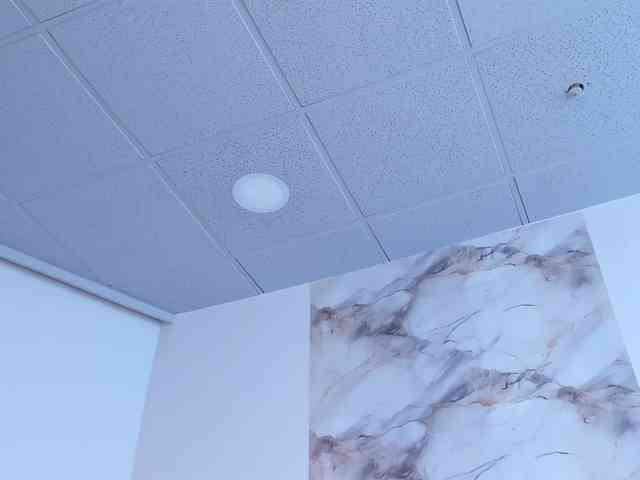 maddyluxe webcam