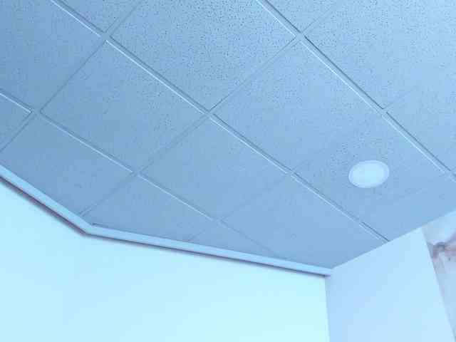 maddyluxe webcam