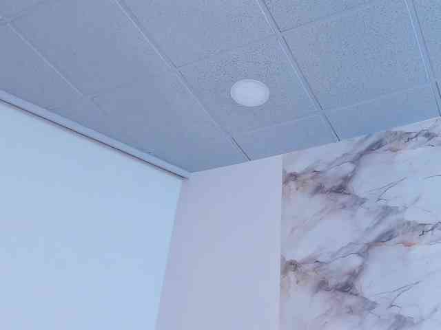 maddyluxe webcam