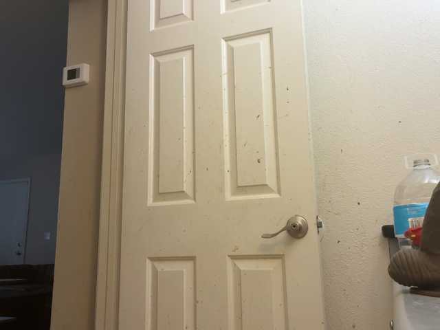 Fuckmyassg00d