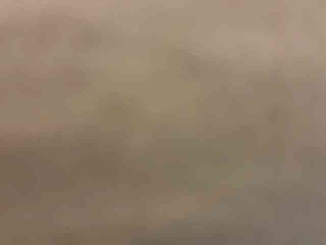 Fuckmyassg00d