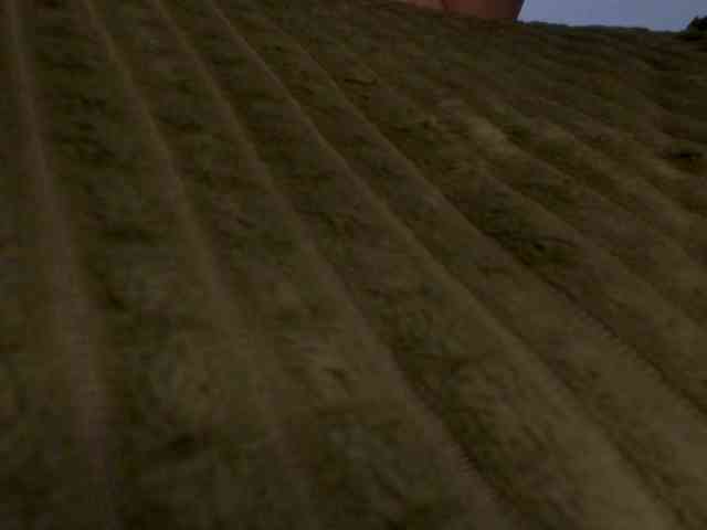 CherryBerry123 webcam
