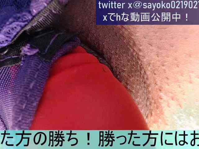 モデル: SAYO-Japanese