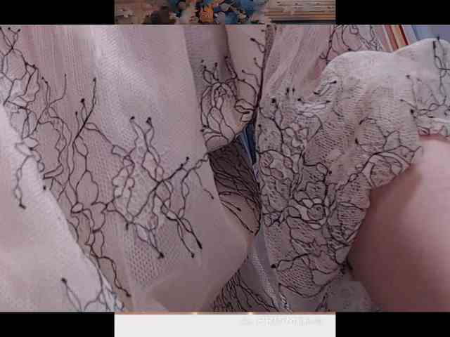 SAYO-Japanese webcam