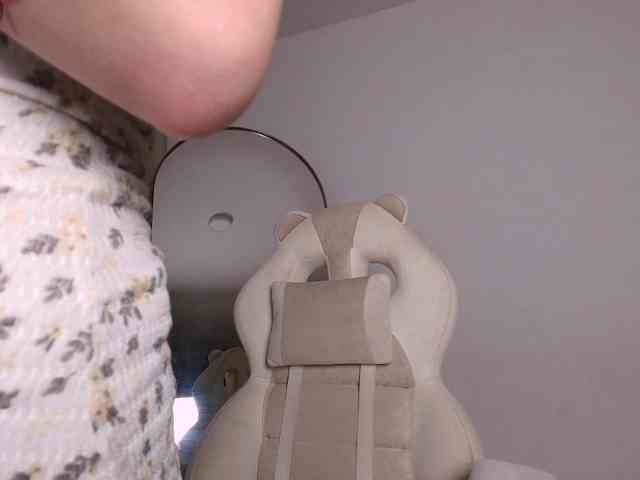 venusart webcam