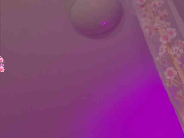 MiraJade webcam