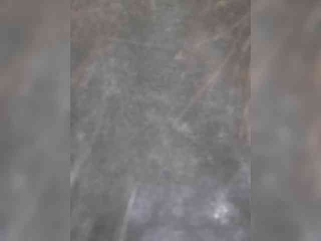 TemptingFable webcam