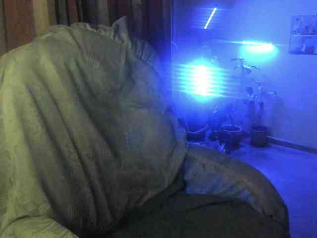 TemptingFable webcam