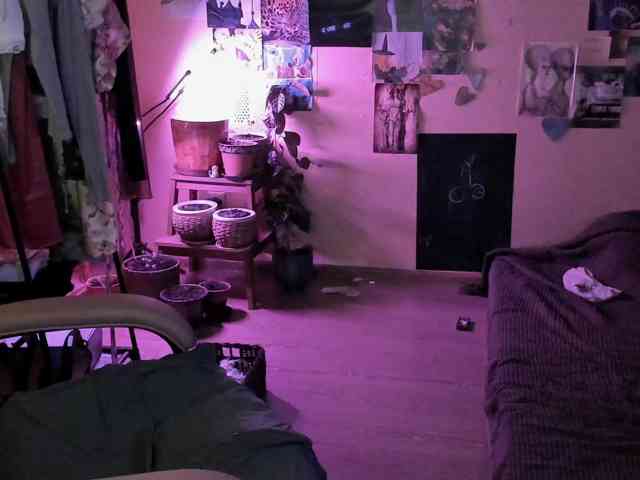 TemptingFable webcam