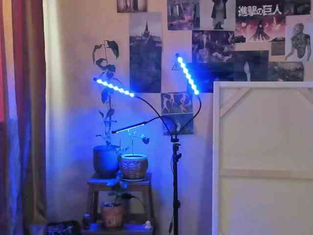 TemptingFable webcam