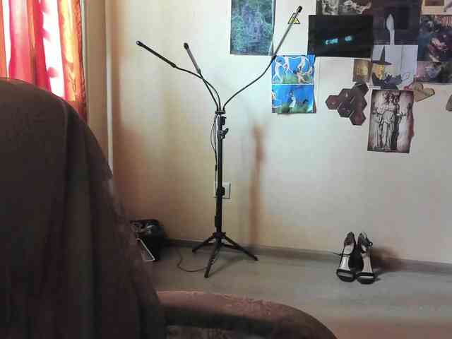TemptingFable webcam