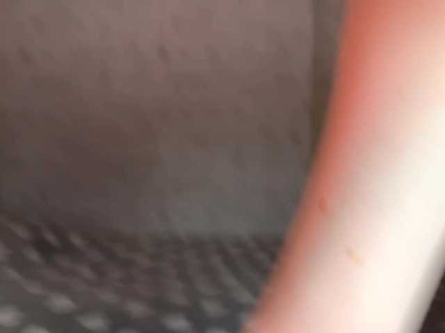 Preview of kittynolick