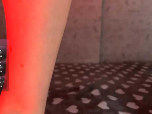 Preview of kittynolick