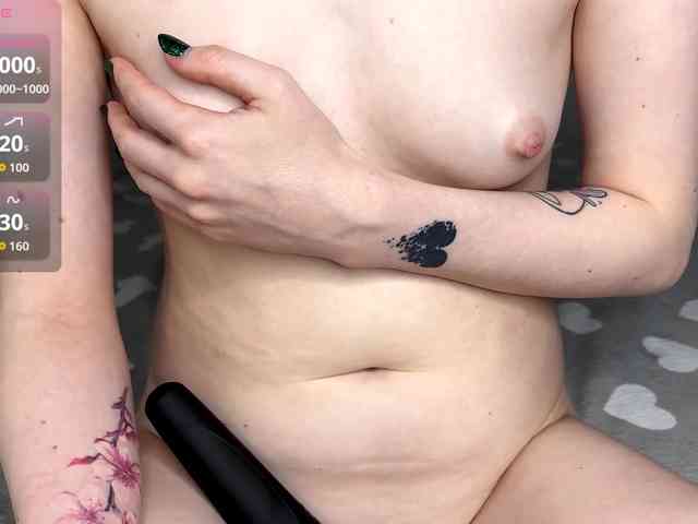 Modelo: KittyNolick