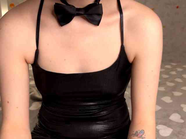 Modelo: KittyNolick