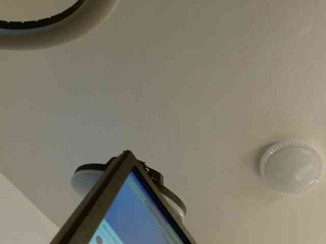 maxxinepetite webcam