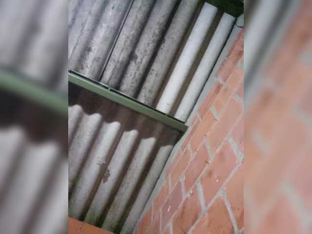 EmiliAddams