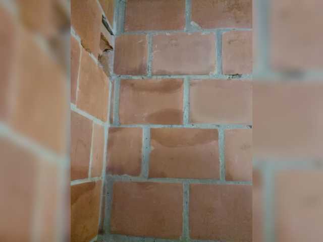 EmiliaBrava