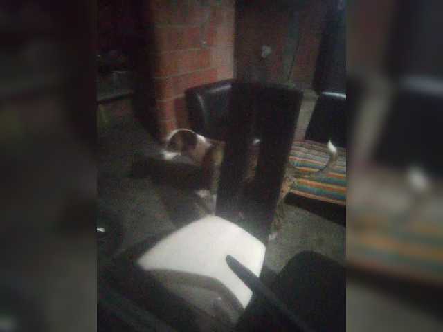 EmiliAddams
