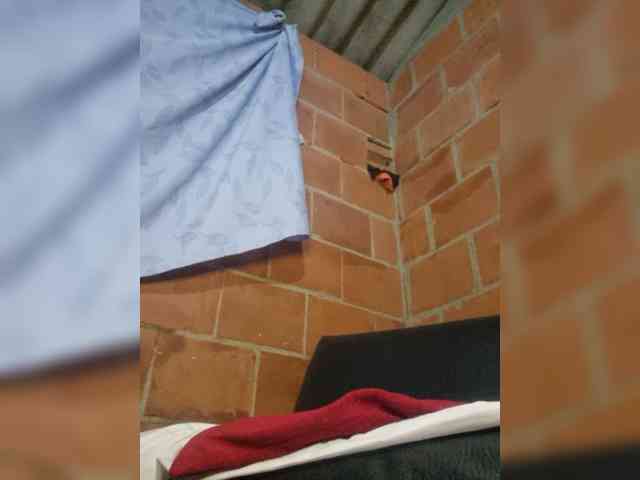 EmiliaBrava