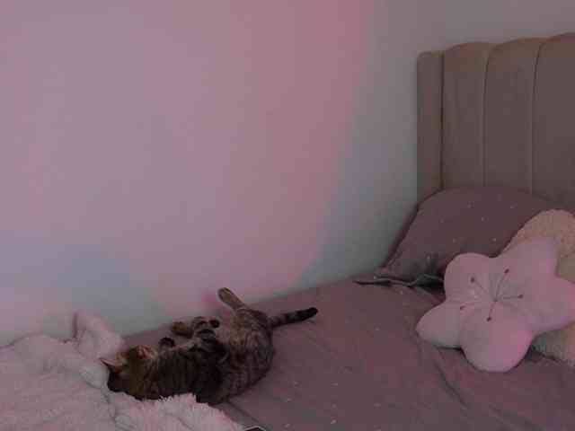 tammyleeXO webcam