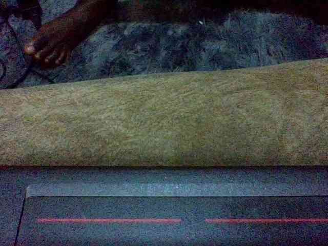 charmychassy27 webcam