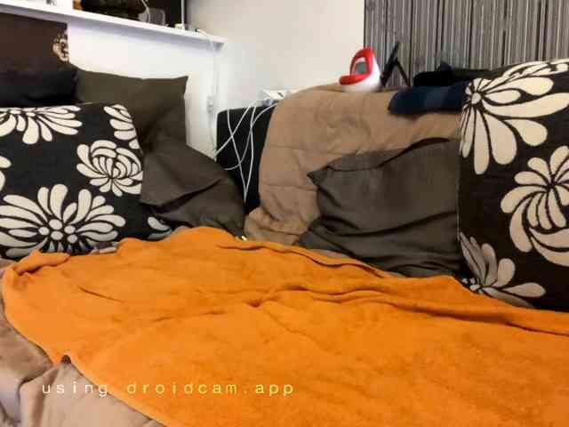 123Dante1231 Sex Cam Show