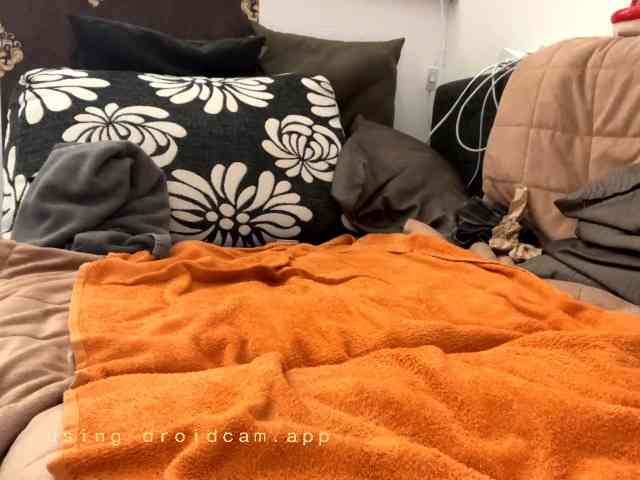 123Dante1231 Sex Cam Show