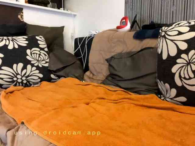 123Dante1231 Sex Cam Show