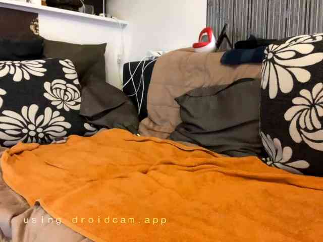 123Dante1231 Sex Cam Show