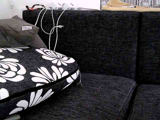 123Dante1231 Sex Cam Show
