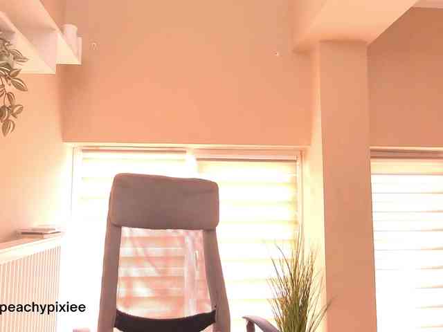 PeachyPixiee