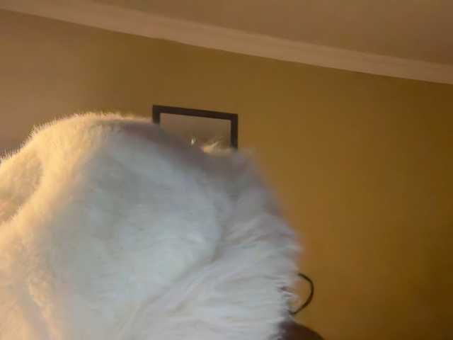 SexyBaddie live cam on BongaCams