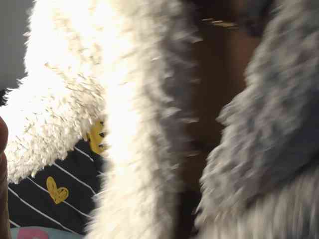 Sexyasszeee webcam