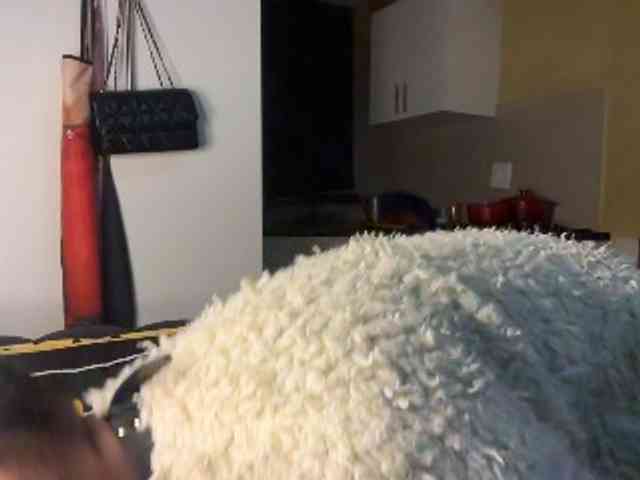 Sexyasszeee webcam