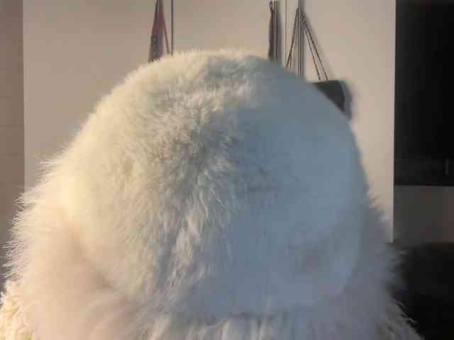 Sexyasszeee webcam