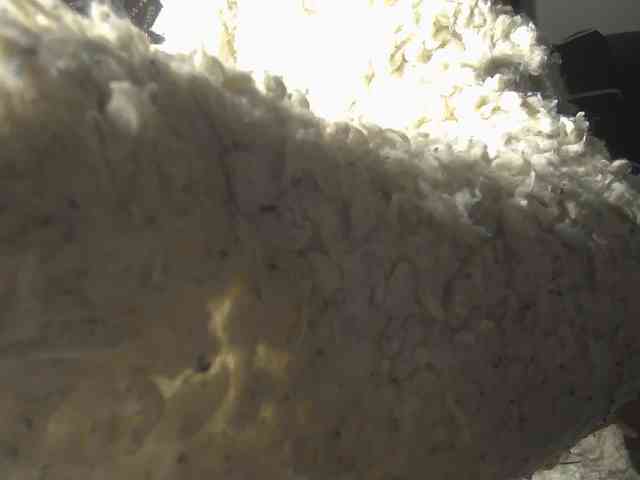 Sexyasszeee webcam