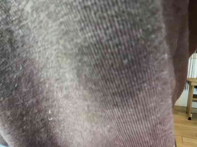 Try001 webcam