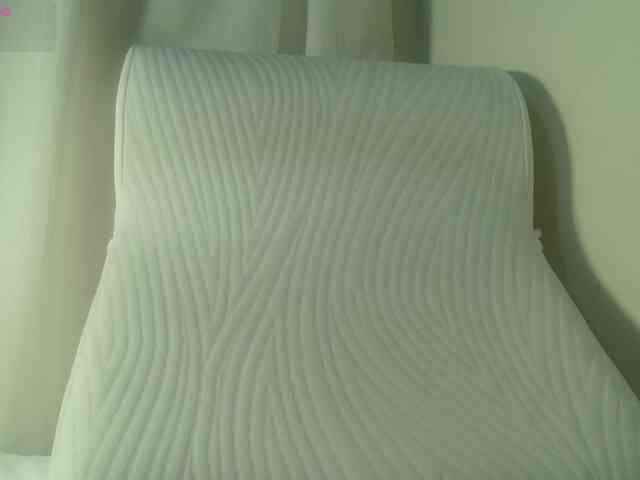 Luneva webcam